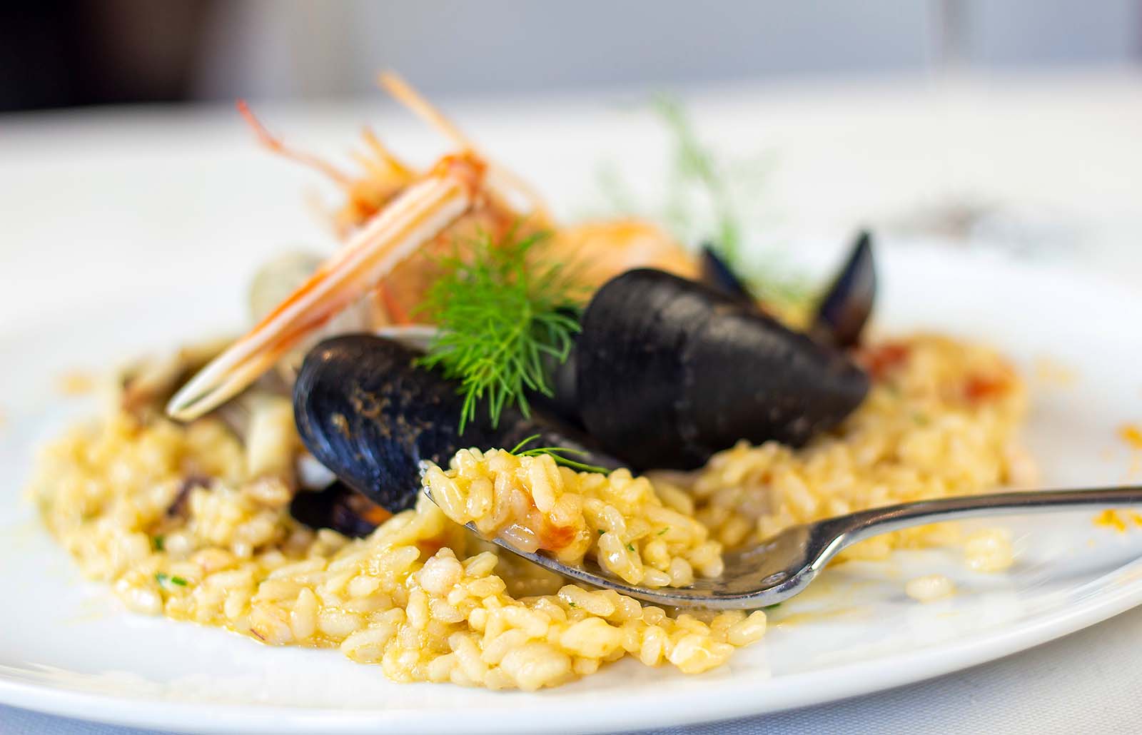 Risotto ai frutti di mare a Sorrento